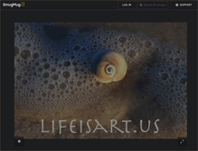 Tablet Screenshot of lifeisart.us